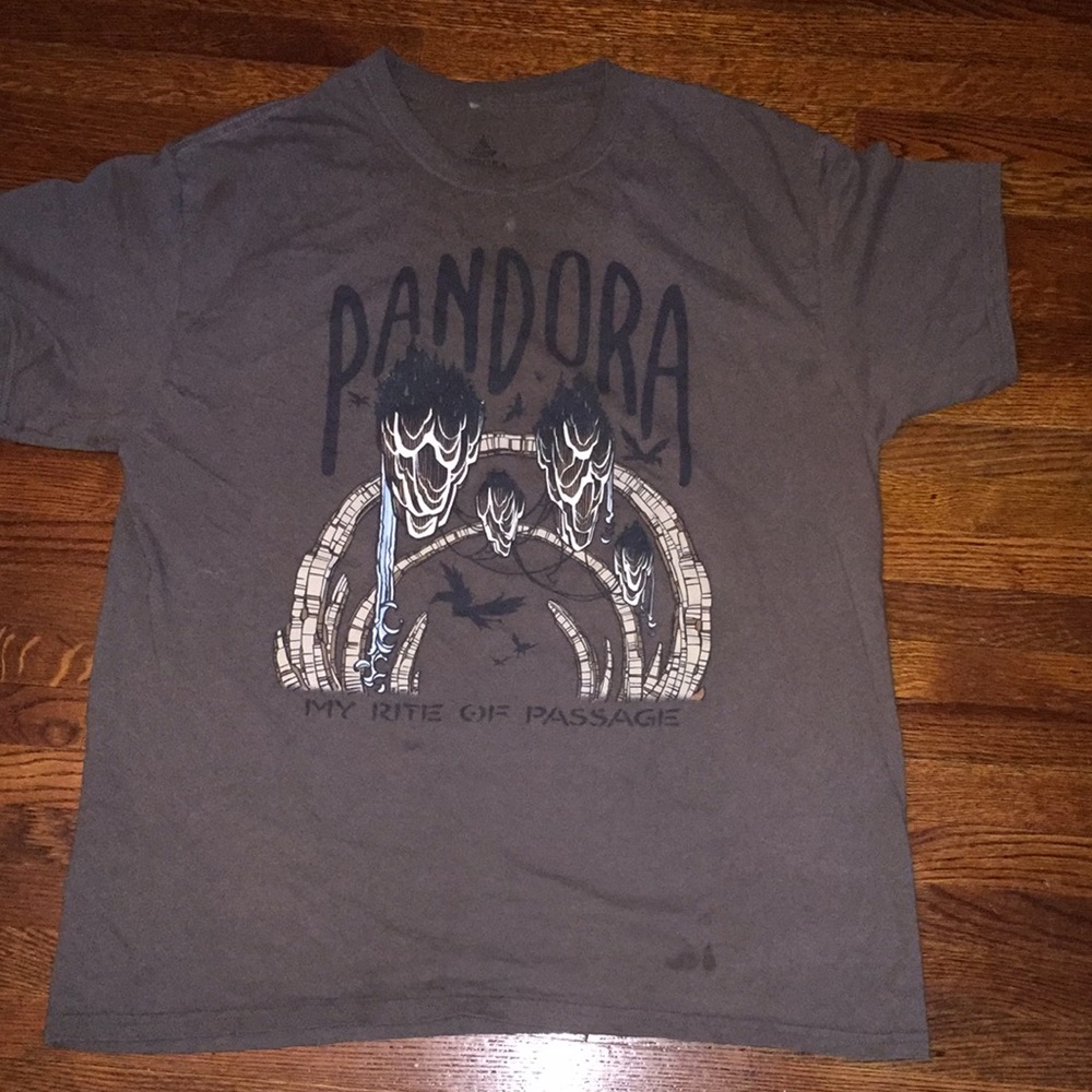 Pandora Band Tee Mens M Disney Latin Female